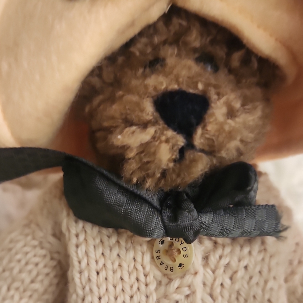Adorable Brown BOYDS BEAR Teddy Bear with Sunflower Hat - Picture 7 of 7